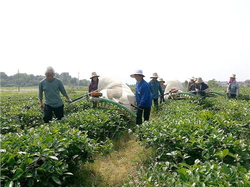 株洲示范基地