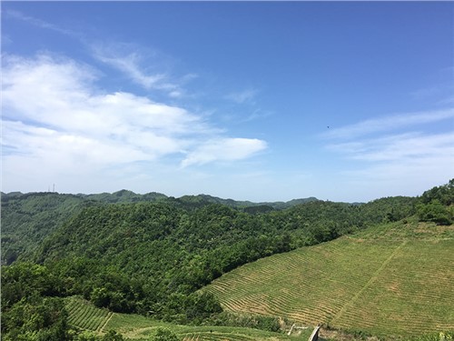 張家界天子山示范基地